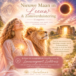 Terugkijklink Leeuwenpoort Lichtcirkel van 8 augustus